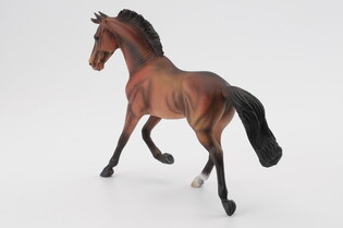 COLLECTA KLACZ THOROUGHBRED MAŚCI BAY 5