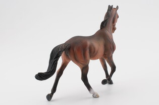 COLLECTA KLACZ THOROUGHBRED MAŚCI BAY 6