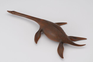 COLLECTA DINOZAUR ATTENBOROZAUR 6