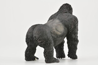 COLLECTA GORYL GÓRSKI 5