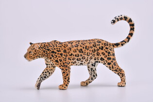 COLLECTA LAMPART AFRYKAŃSKI 4