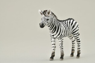 COLLECTA MŁODA ZEBRA 4