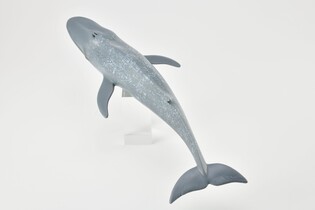 COLLECTA PŁETWAL BŁĘKITNY 4