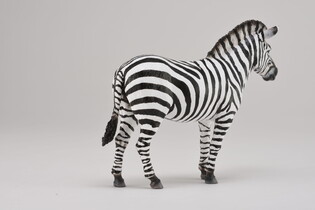 COLLECTA ZEBRA POSPOLITA 3