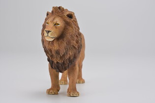 COLLECTA LEW AFRYKAŃSKI 4