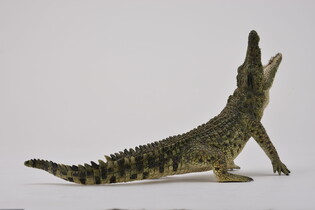 COLLECTA KROKODYL NILOWY 4