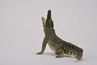 COLLECTA KROKODYL NILOWY 5