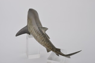COLLECTA REKIN TYGRYSI 3
