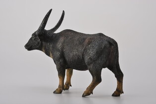 COLLECTA BAWÓŁ INDYJSKI 5