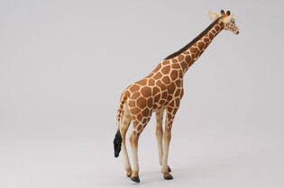 COLLECTA ŻYRAFA SIATKOWA 5