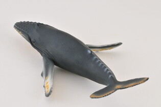 COLLECTA WIELORYB HUMBAK 3