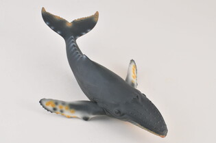 COLLECTA WIELORYB HUMBAK 5