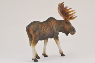 COLLECTA ŁOŚ 4