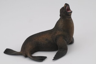 COLLECTA LEW MORSKI 4
