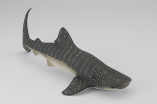 COLLECTA REKIN 3