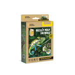 CUBIC FUN NATIONAL GEOGRAPHIC KAMELEON