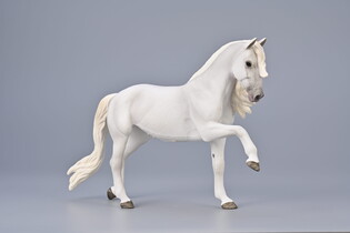 COLLECTA KLACZ LIPICAŃSKA CHÓD HISZPAŃSKI 3