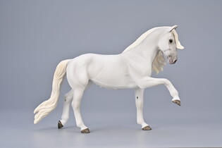 COLLECTA KLACZ LIPICAŃSKA CHÓD HISZPAŃSKI 4