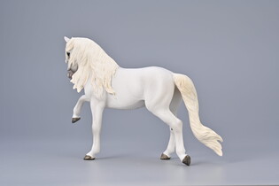 COLLECTA KLACZ LIPICAŃSKA CHÓD HISZPAŃSKI 5