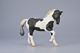 COLLECTA OGIER CIEPŁOKRWISTY CZARNY TOBIANO 3