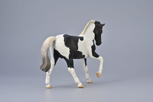 COLLECTA OGIER CIEPŁOKRWISTY CZARNY TOBIANO 4