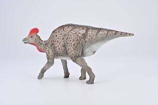 COLLECTA MAGNAPAULIA 4