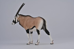 COLLECTA GEMSBOK 3