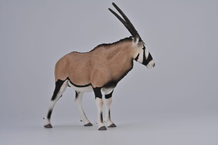 COLLECTA GEMSBOK 5