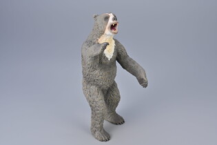 COLLECTA ARCTODUS 4