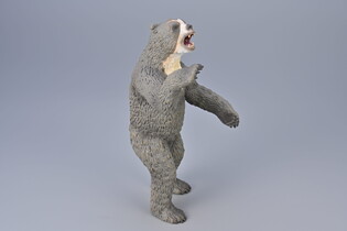COLLECTA ARCTODUS 5