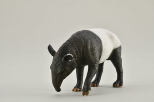 COLLECTA TAPIR CZAPRAKOWY 4