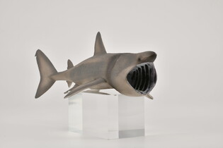 COLLECTA DŁUGOSZPAR 3