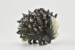 COLLECTA JEŻOZWIERZ INDYJSKI 3