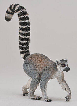 COLLECTA LEMUR KATTA 4