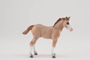 COLLECTA ŹREBIĘ RED DUN 3