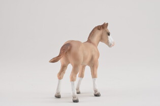 COLLECTA ŹREBIĘ RED DUN 4