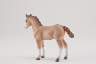 COLLECTA ŹREBIĘ RED DUN 5