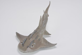 COLLECTA RYBA GITARA 3