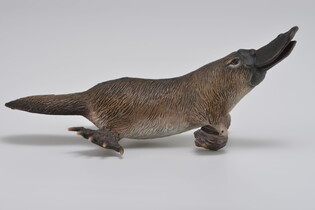 COLLECTA DZIOBAK AUSTRALIJSKI 3