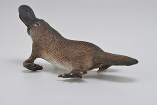 COLLECTA DZIOBAK AUSTRALIJSKI 4