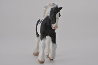 COLLECTA ŹREBIĘ RASY TINKER MAŚCI SROKATEJ 4
