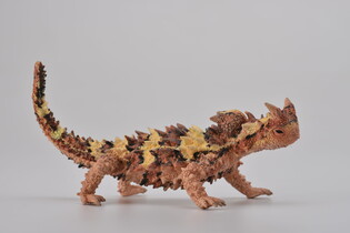 COLLECTA MOLOCH STRASZLIWY 4