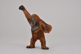 COLLECTA ORANGUTAN 4