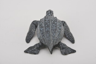 COLLECTA ŻÓŁW SKÓRZASTY 5