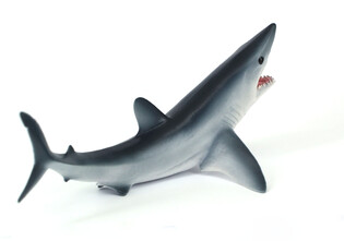 COLLECTA REKIN OSTRONOS ATLANTYCKI 3