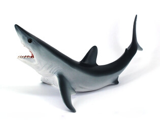 COLLECTA REKIN OSTRONOS ATLANTYCKI 4