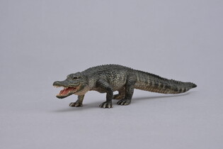 COLLECTA ALIGATOR AMERYKAŃSKI 4