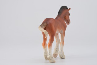 COLLECTA ŹREBIĘ CLYDESDALE MAŚCI BAY 4