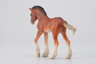 COLLECTA ŹREBIĘ CLYDESDALE MAŚCI BAY 5