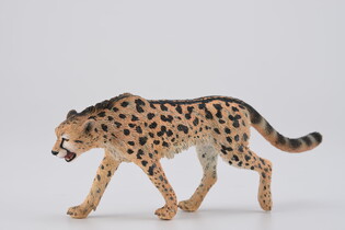 COLLECTA GEPARD KRÓLEWSKI 5